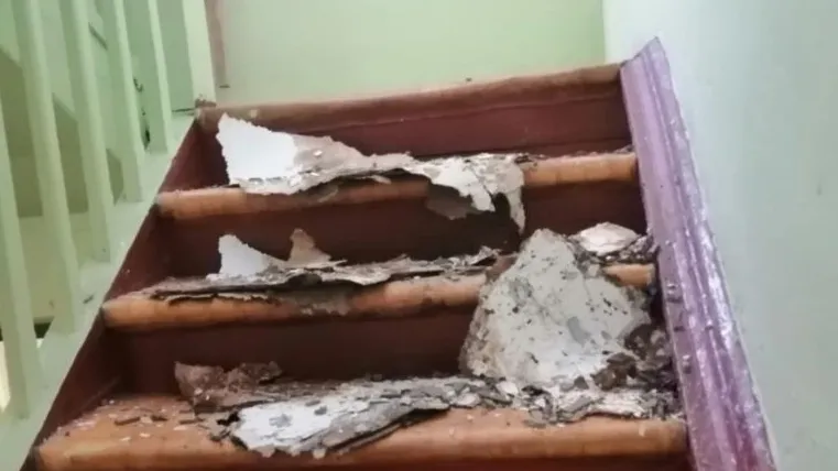 фото: lopasnya.ru