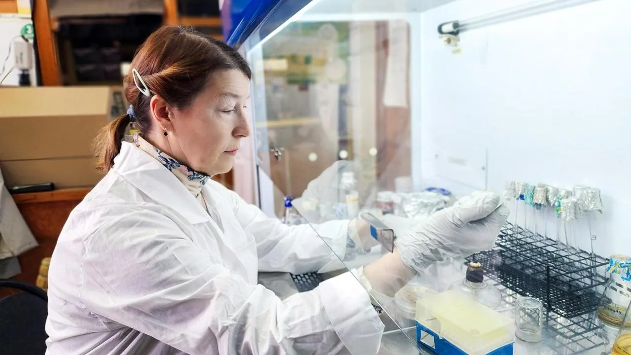 REGIONS/Мария Панина