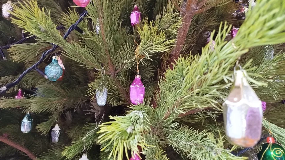 Фото: REGIONS/Юлия Куделькина