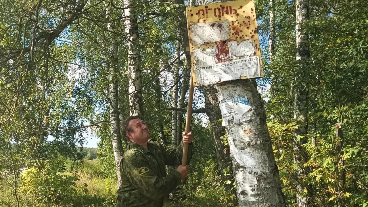 В подмосковных лесах демонтируют незаконную рекламу
