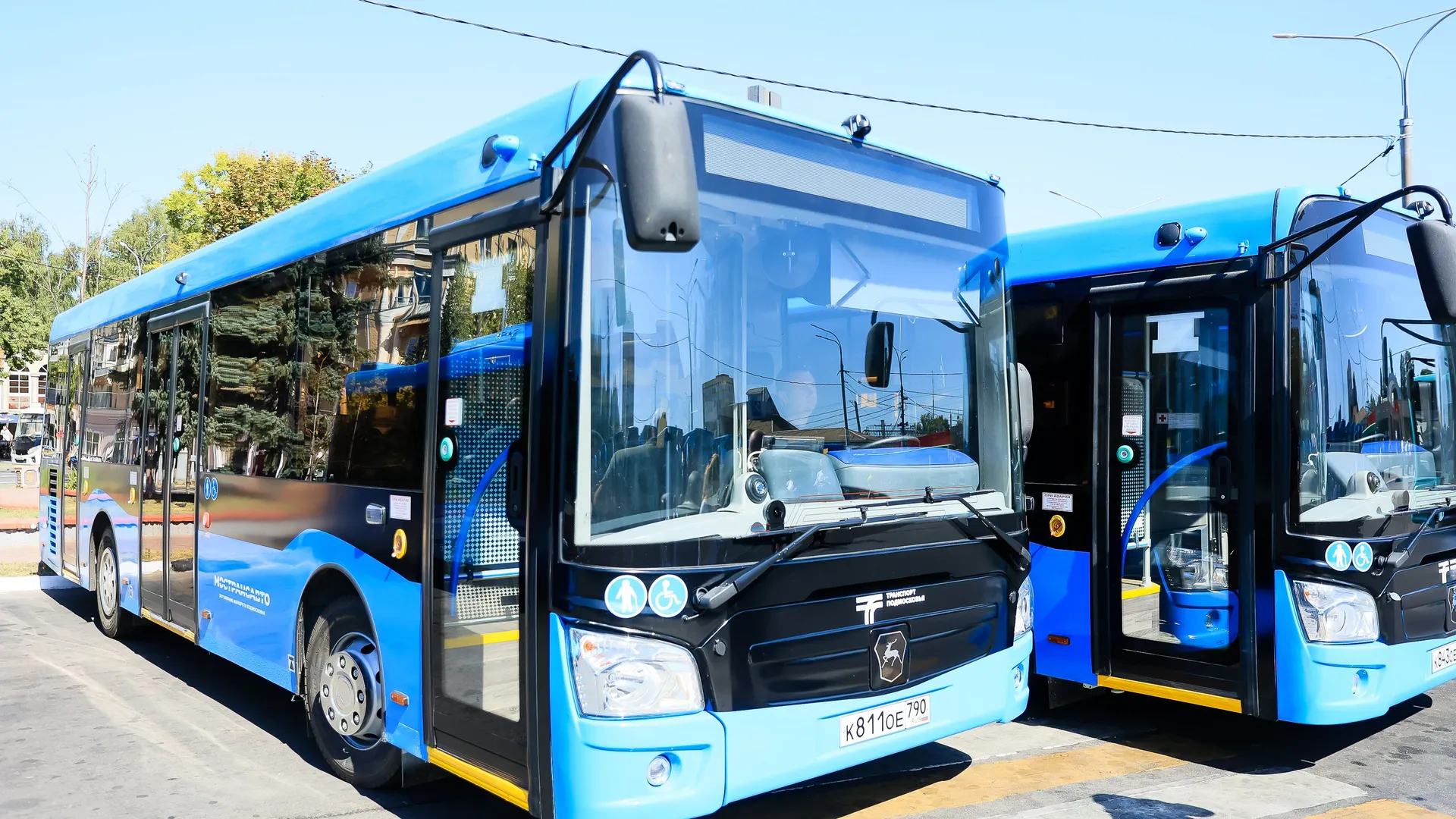 Фото: Медиаархив Подмосковья