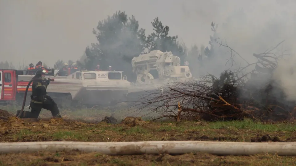 Фото: REGIONS/Василий Тремасов