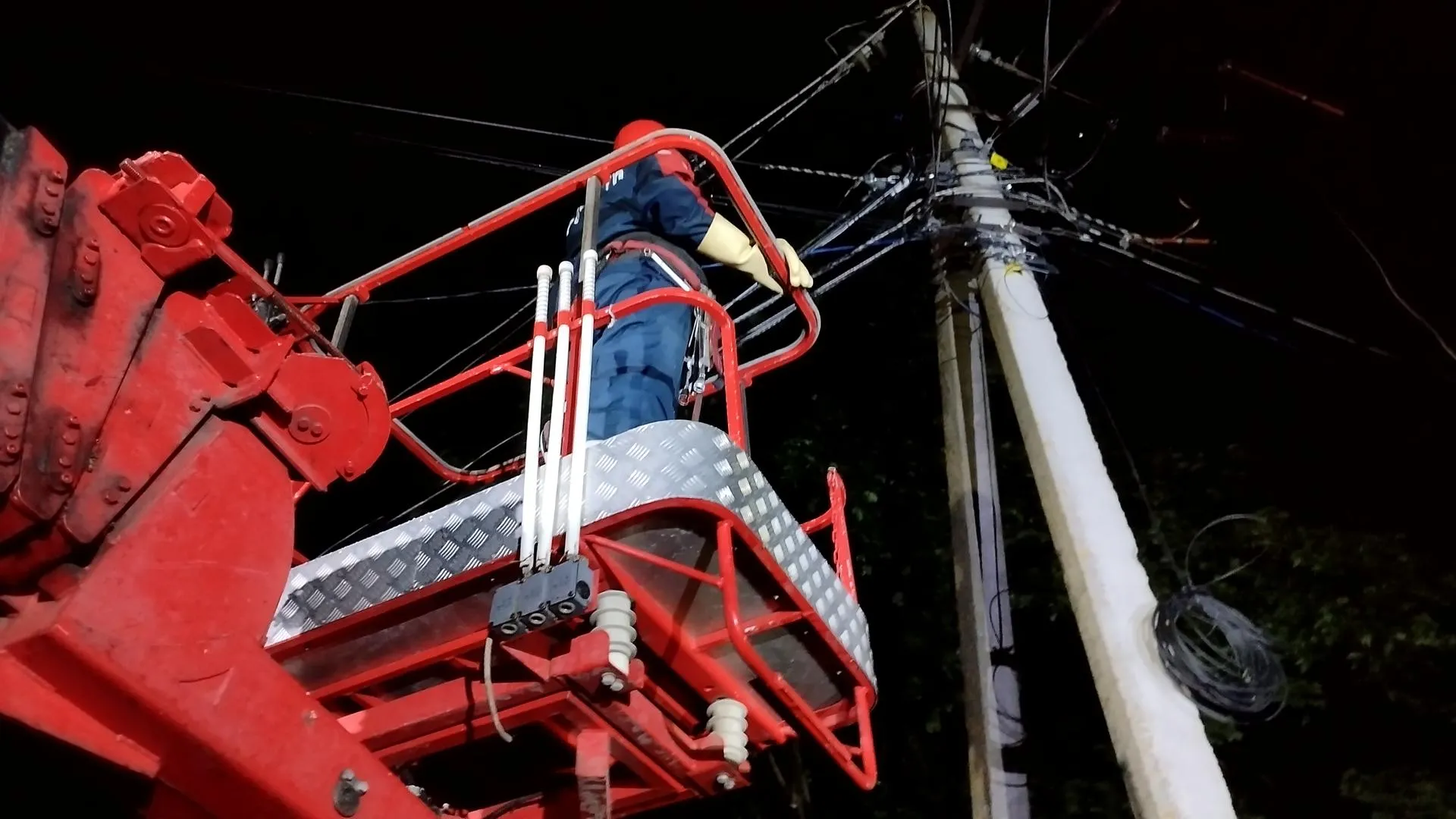 Фото: Ольга Антонова