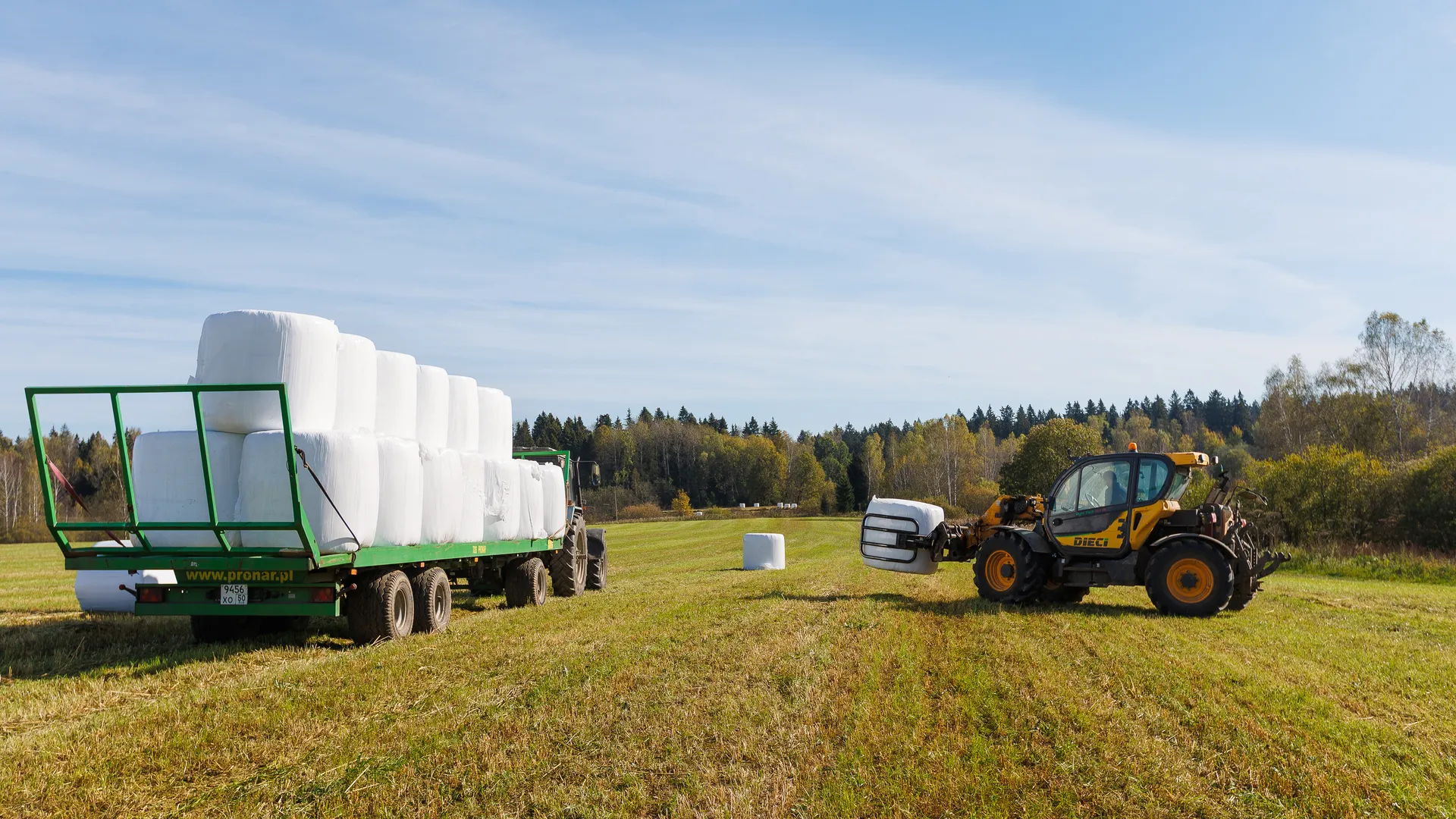 Заготовка кормов на полях фермы С.Н. Ляшенко в деревне Данилово Пушкинского округа