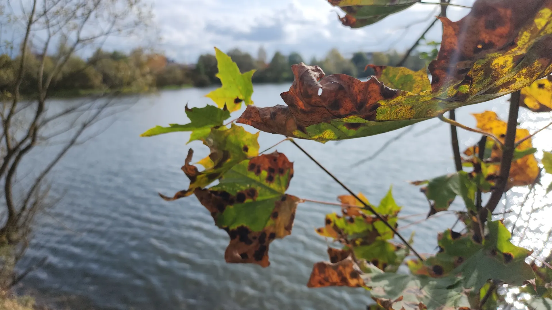 Фото: REGIONS/Наталия Надточая