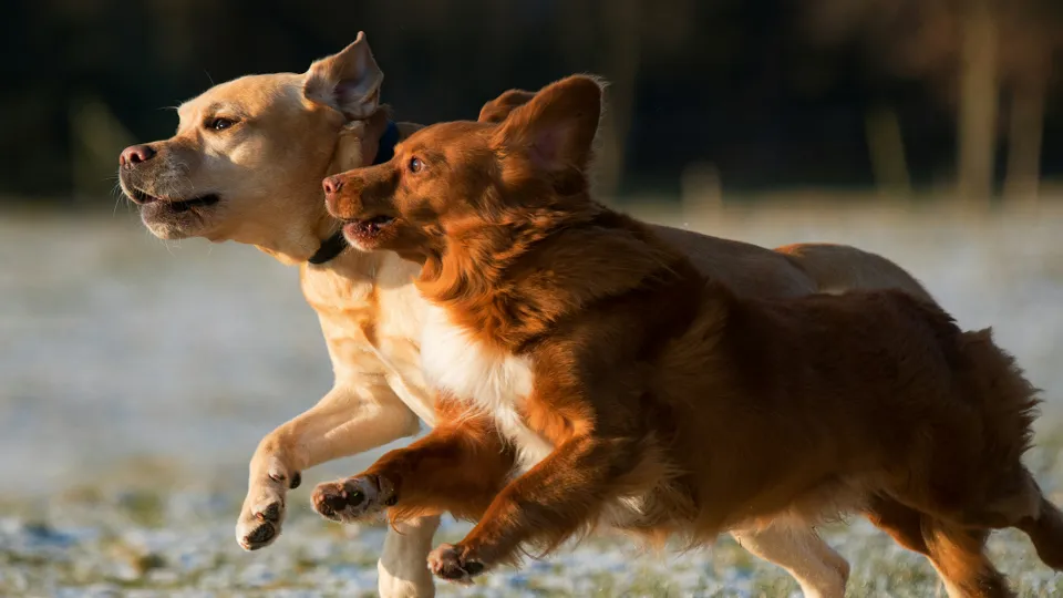 Фото: unsplash.com