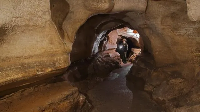 Фото: © globallookpress.com