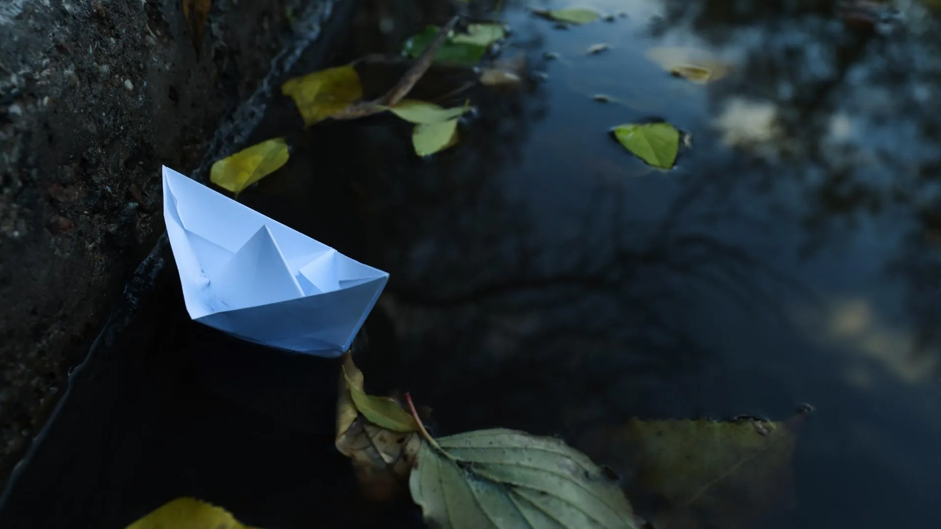 Изображение от atlascompany на Freepik