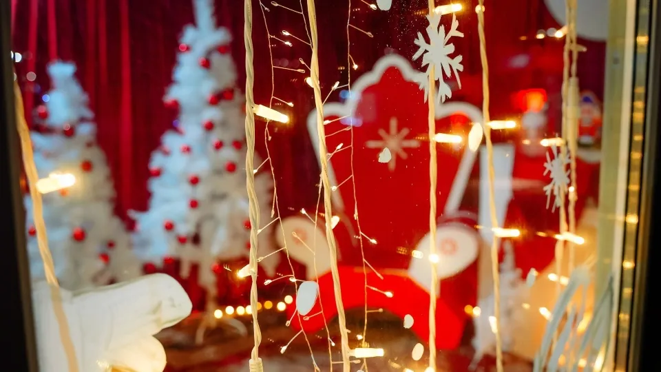 Фото: vk.com/парки мунципального округа Чехов