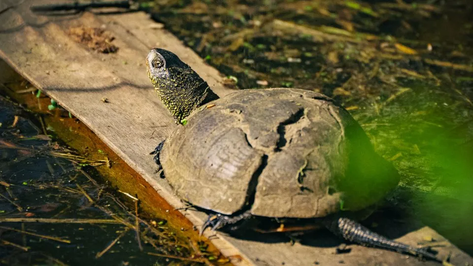 Фото: Дмитрий Блинков