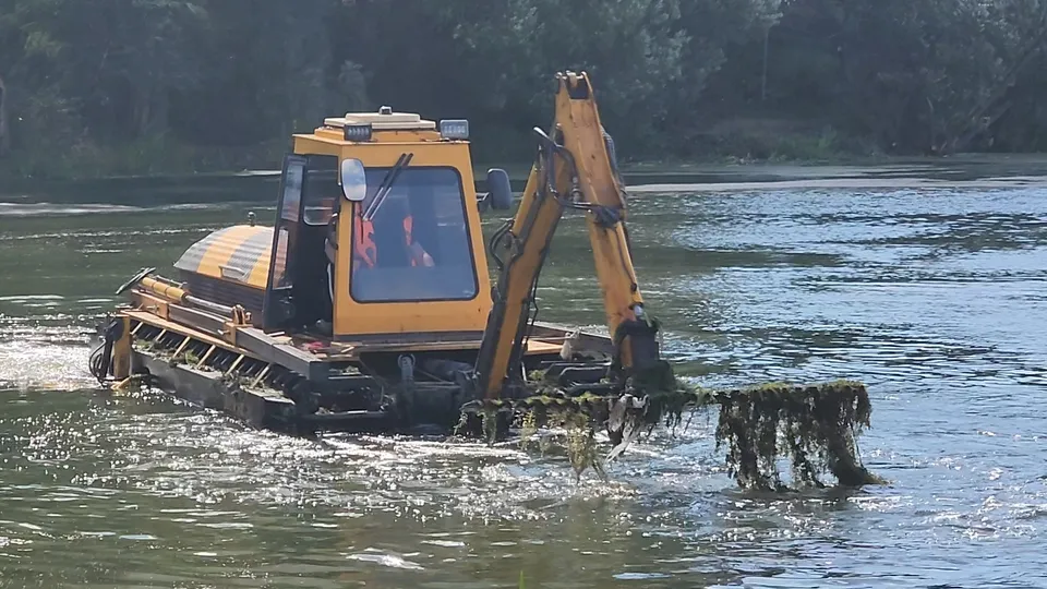 Фото: МедиаБанк Подмосковья/Никита Сморкалов