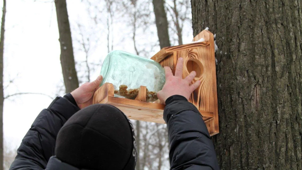 REGIONS/Наталья Дорофеева