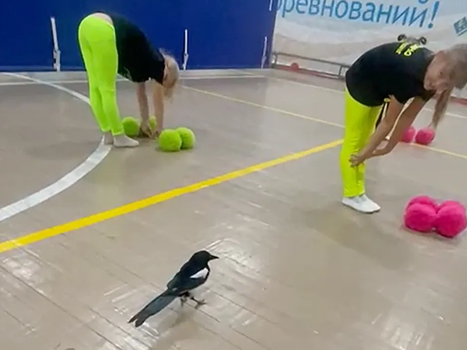 Фото: секция чирлидинга в Ступине