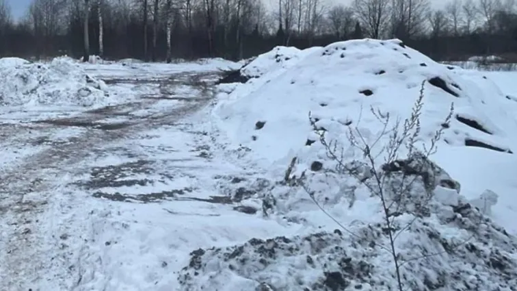 © Пресс-служба Министерства экологии и природопользования Московской области