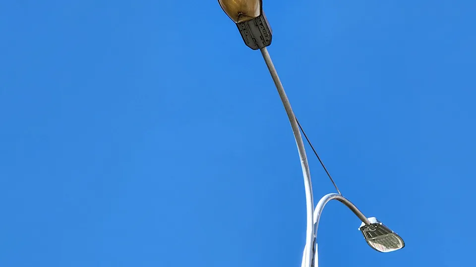 Фото: Медиабанк Подмосковья/Ольга Фельдфебелева