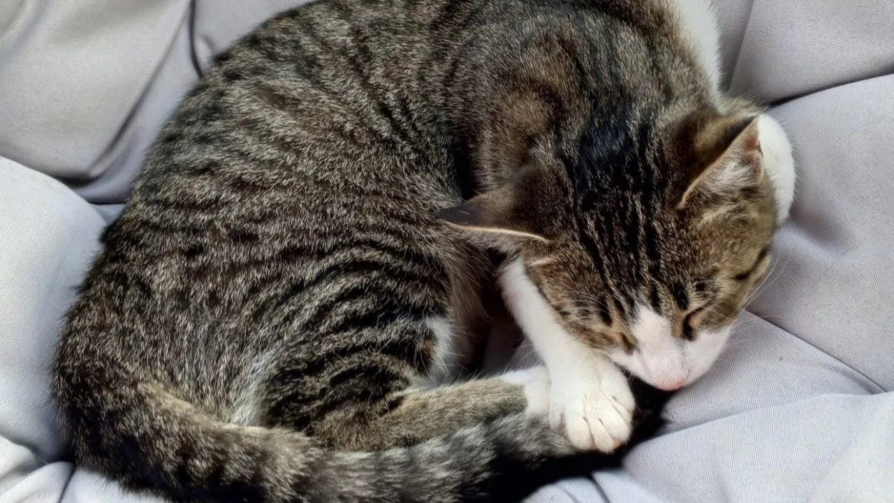 Фото: Социальные сети