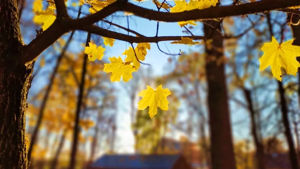 Фото: REGIONS/Алексей Селиверстов