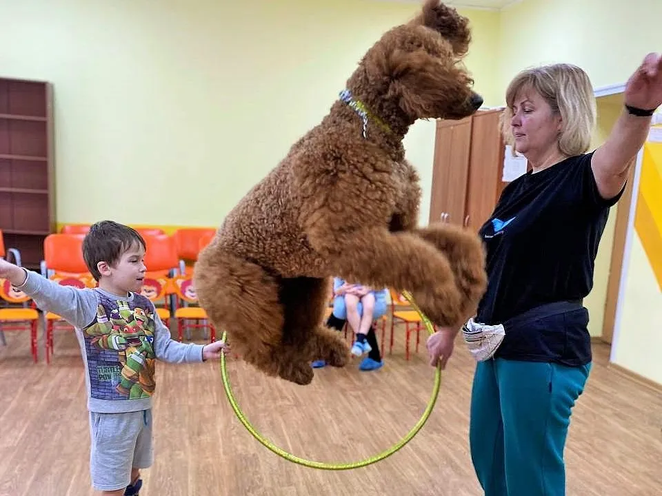 Картинка