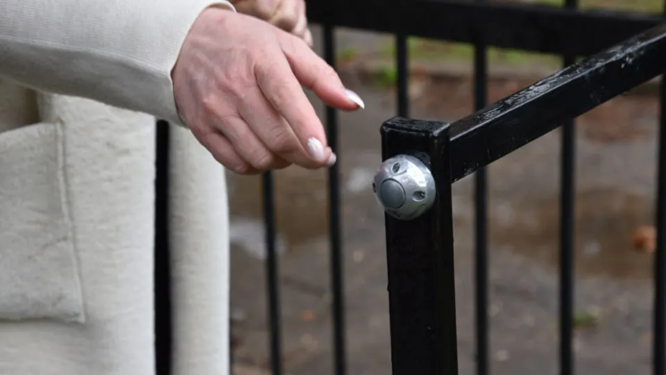 Фото: администрация г.о. Лотошино