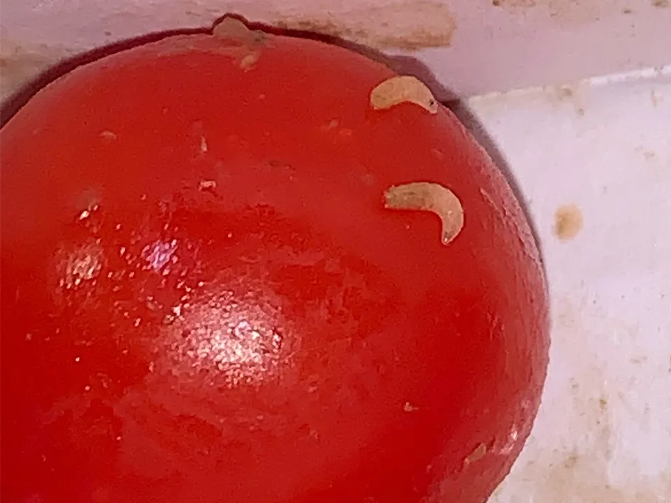 Фото: vk.com/ Подслушано в Менделеево&nbsp;