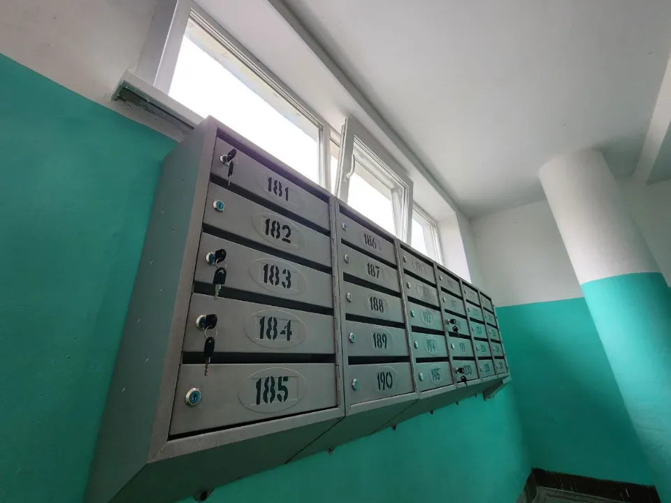 Фото: МедиаБанк Подмосковья/Яна Шаливская