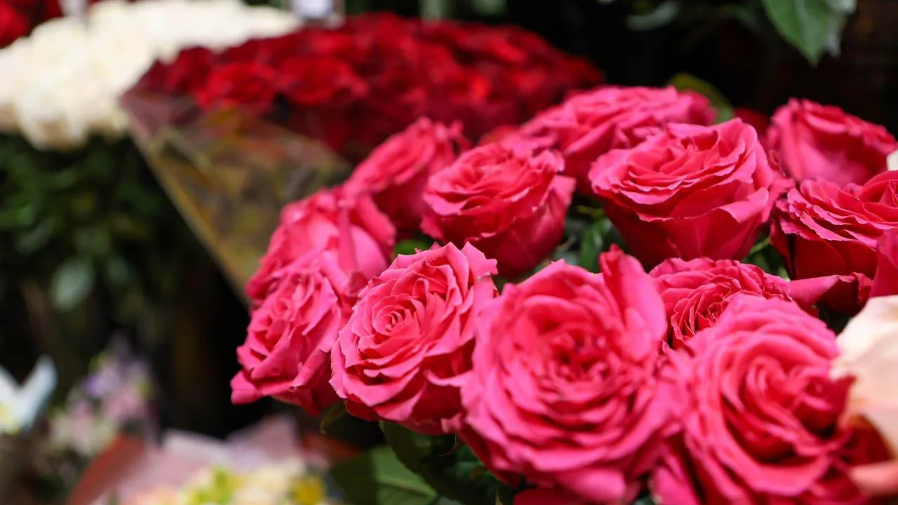 REGIONS/Роман Малышенко