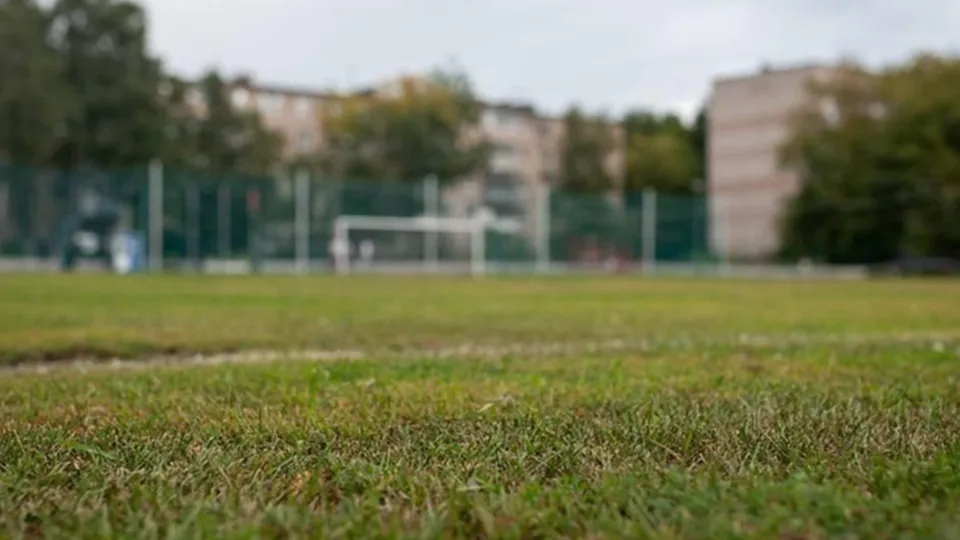 Фото: пресс-служба Министерства физической культуры и спорта Московской области