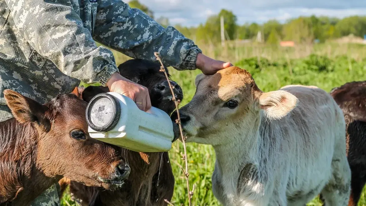 Фото: пресс-служба губернатора Московской области