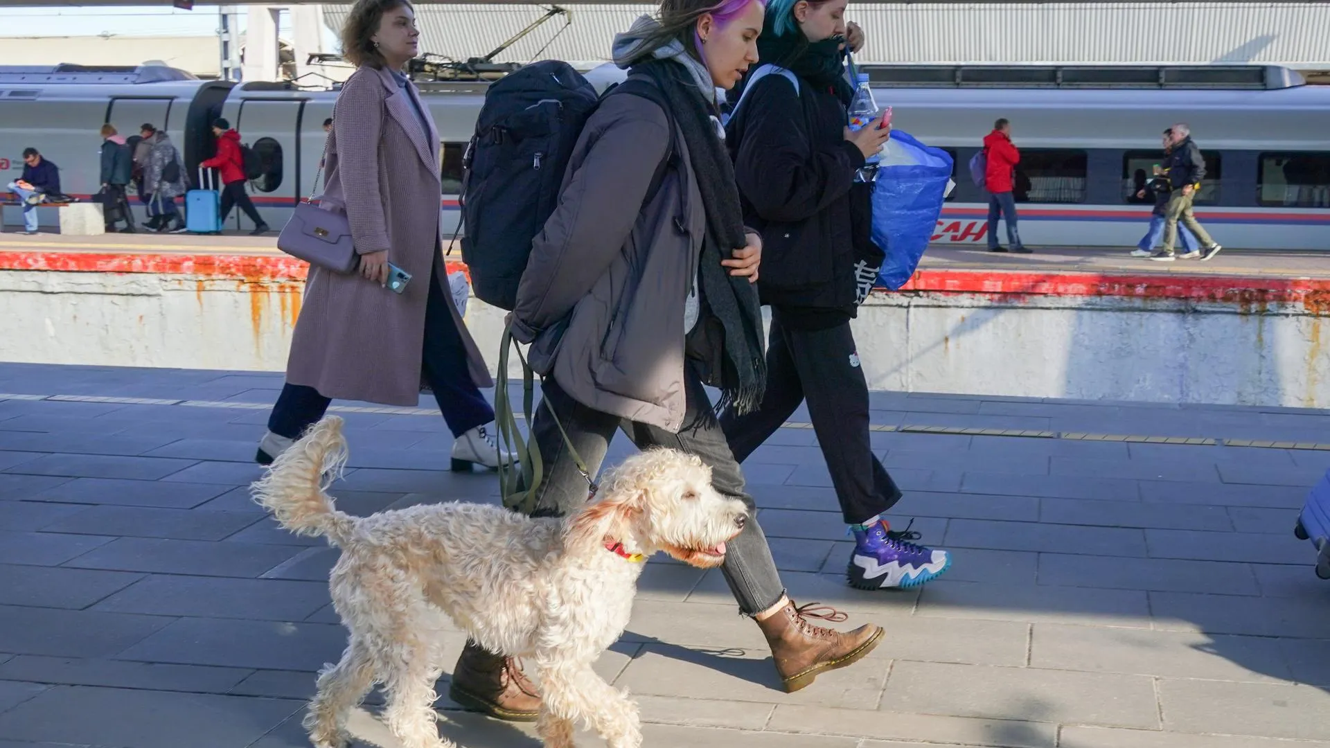 Демиховский машиностроительный завод