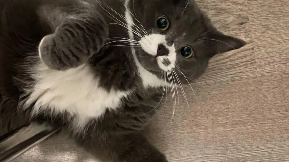 Фото: Министерство жилищной политики Московской области