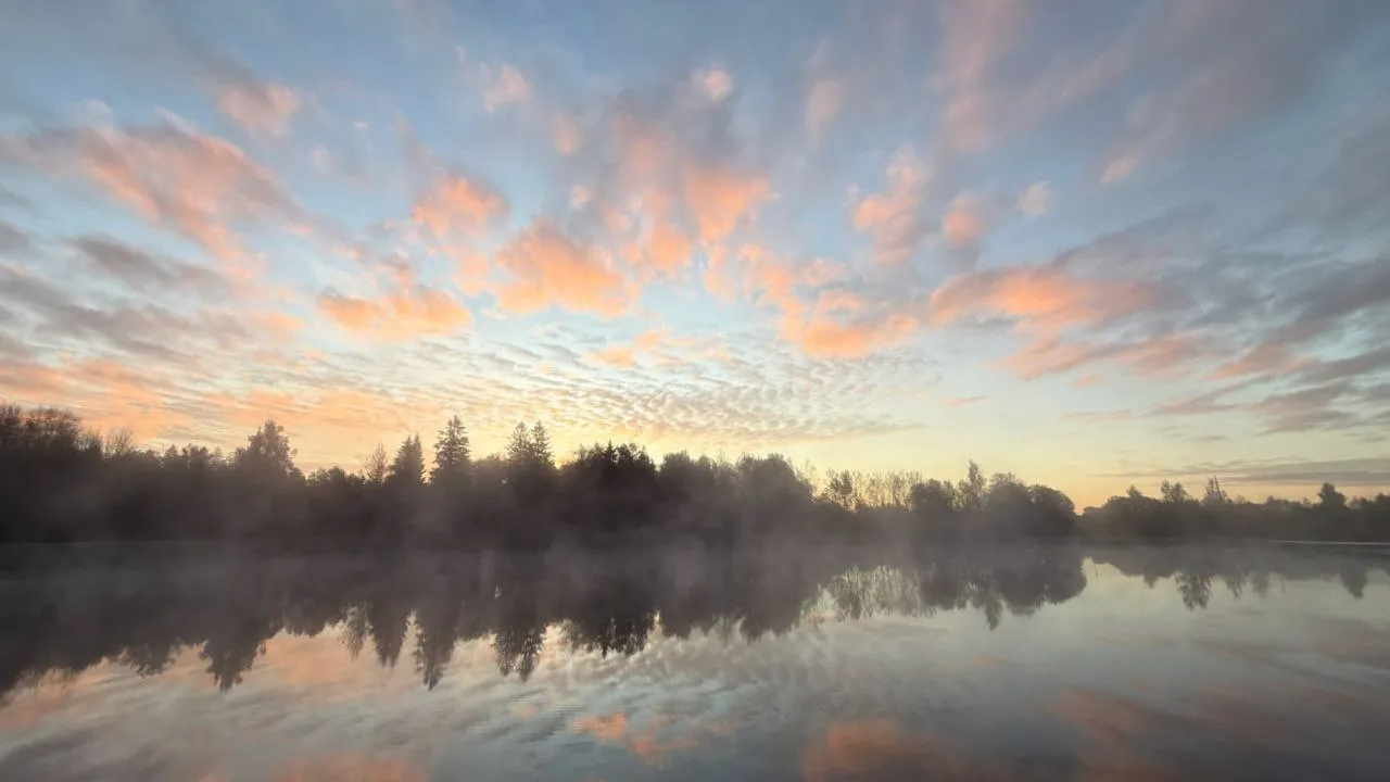 Фото: предоставлено Мариной Алифановой
