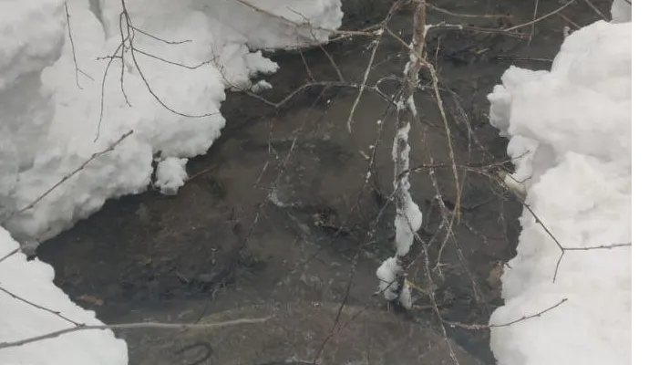 Фото: социальные сети