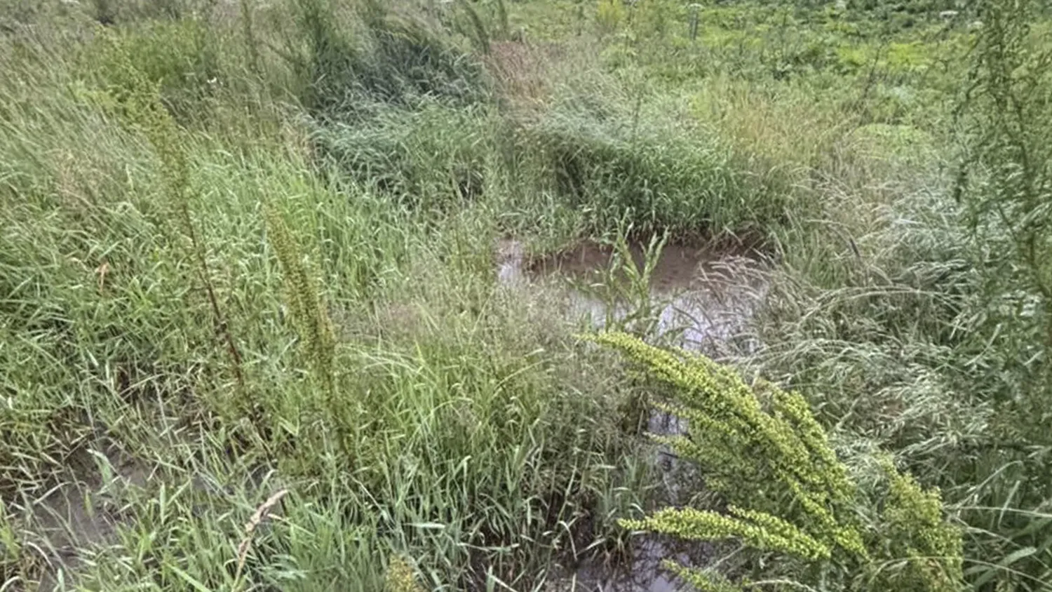 Фото: t.me/Maksss