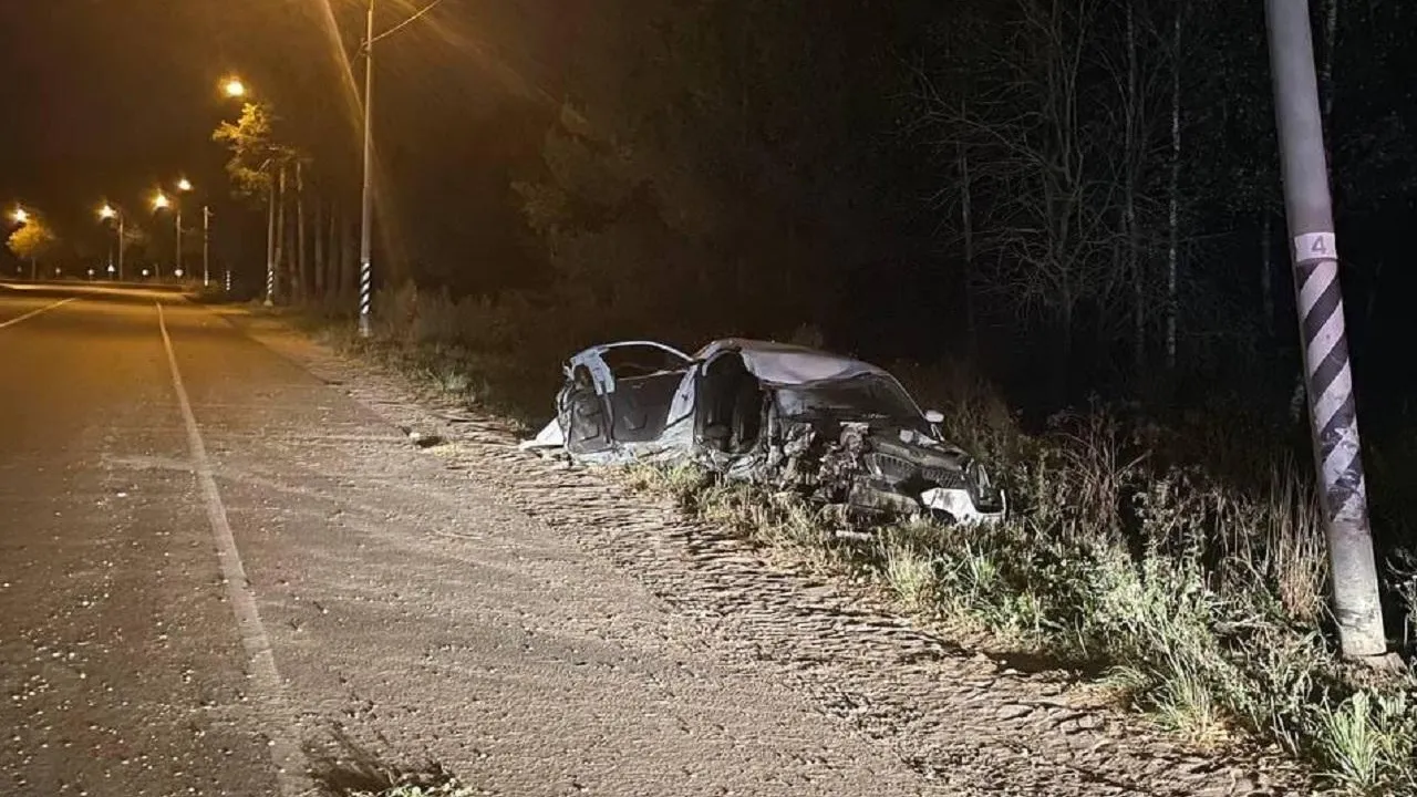 Десятимесячная девочка погибла в ДТП под Щелково