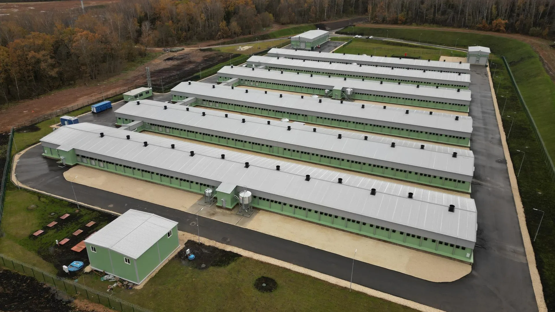 Дарья Московцева