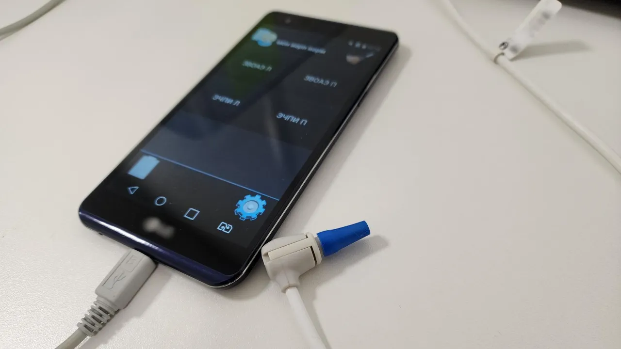 REGIONS/Мария Шигорева