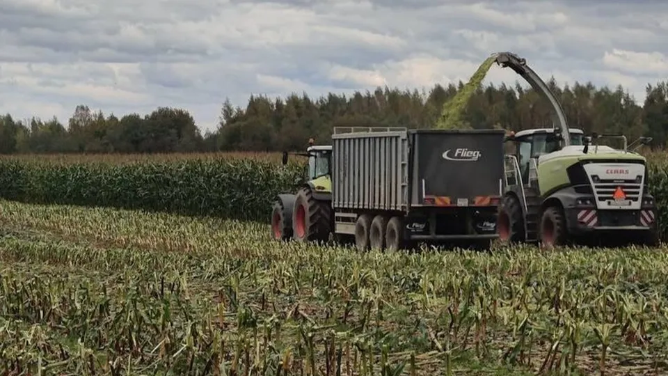 Фото: пресс-служба администрации Волоколамского муниципального округа