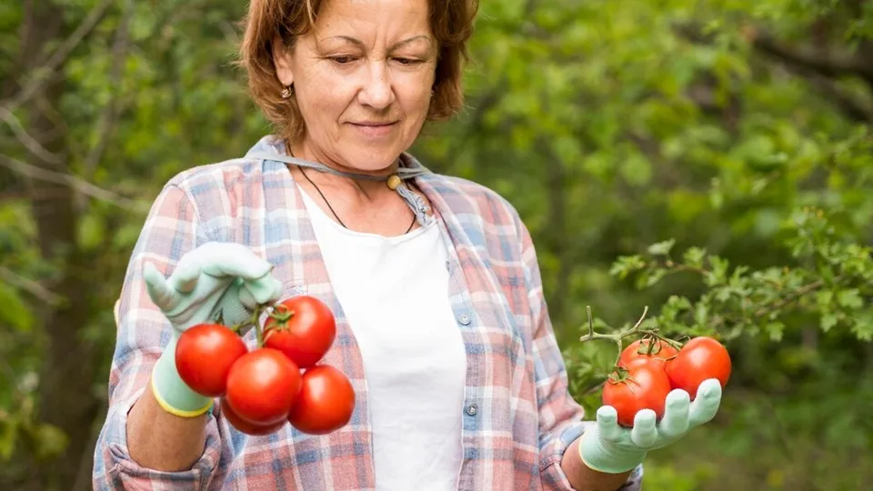 Фото: freepik.com