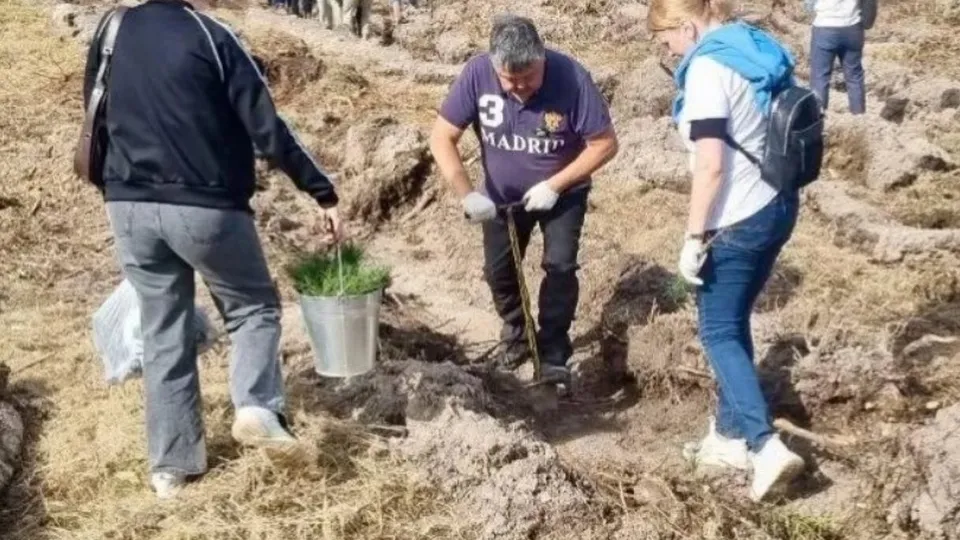 Фото: Министерство транспорта и дорожной инфраструктуры Московской области