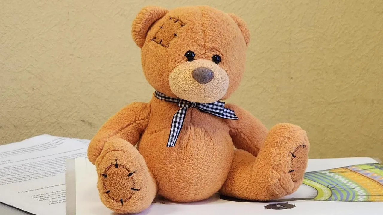 МедиаБанк Подмосковья/Анна Шолохова