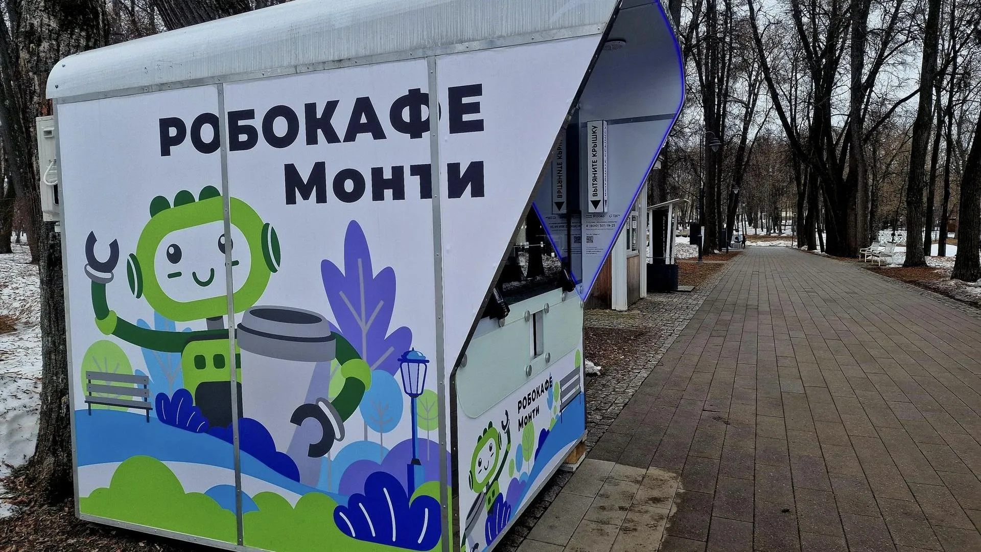 REGIONS/Ольга Шаронова