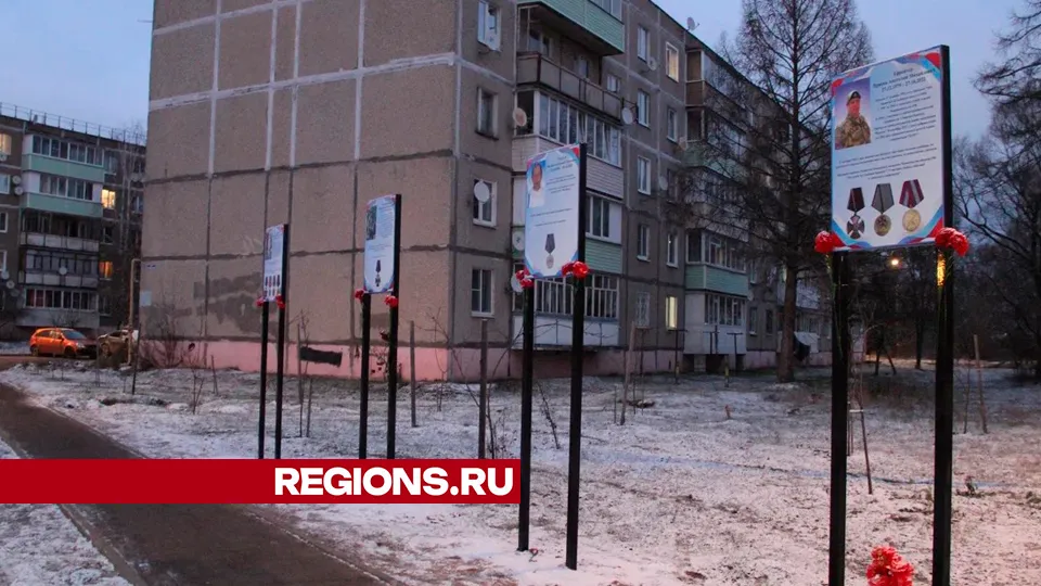 Портреты шувойцев, погибших на СВО, установили на Аллее Героев. Фото: REGIONS/Василий Тремасов