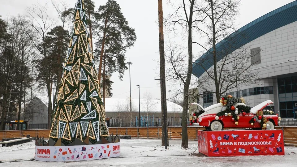 Фото: пресс-служба администрации г.о. Балашиха