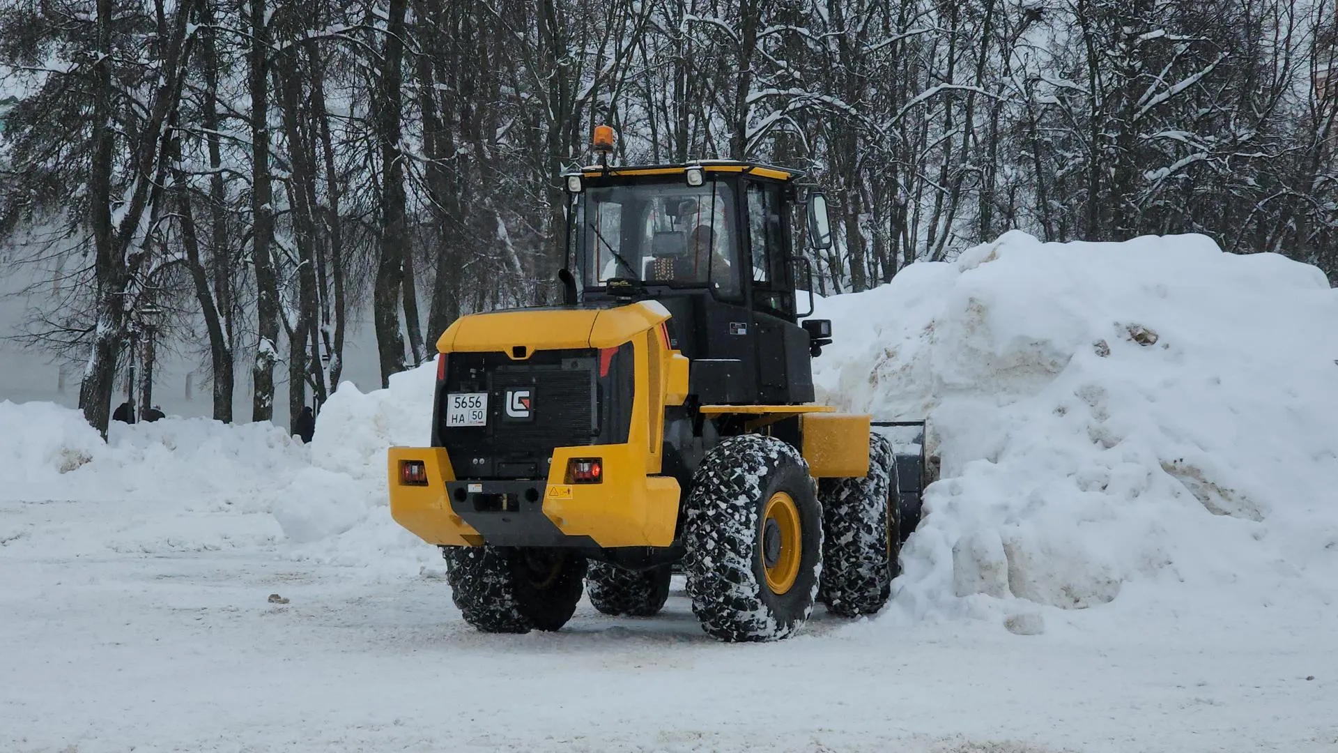 REGIONS/Елена Шумакова