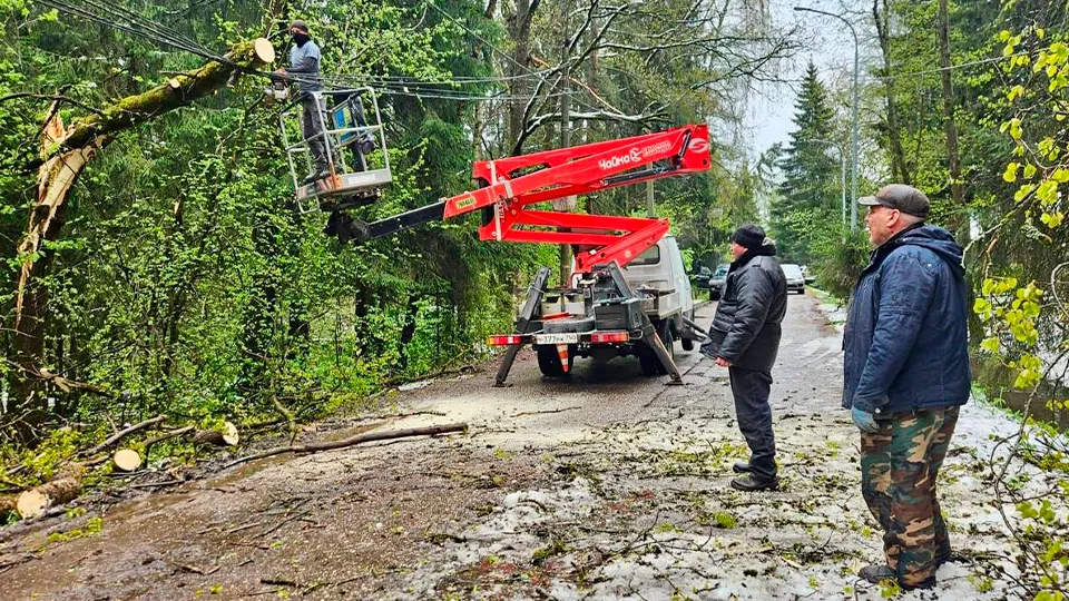 Фото: t.me/zemlyakova_khimki