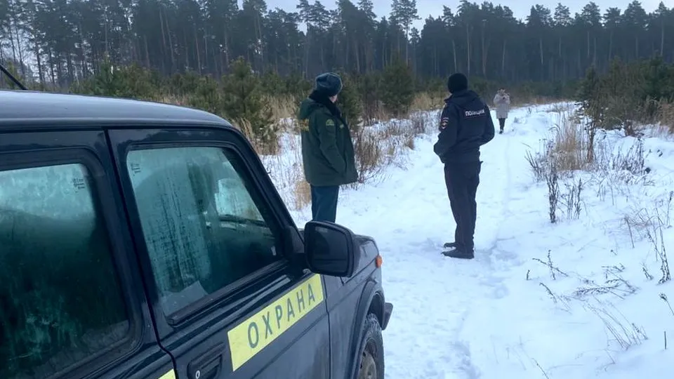 Фото: пресс-служба Комитета лесного хозяйства Московской области