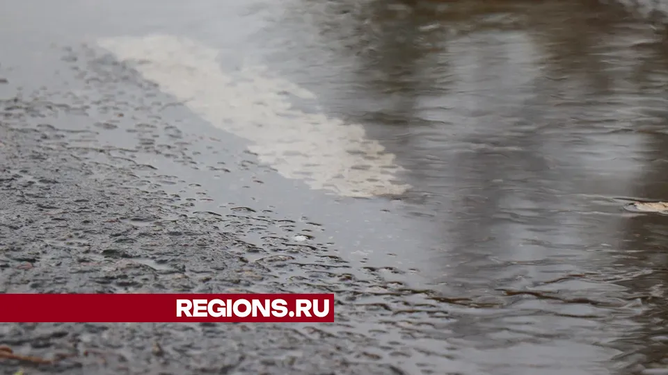 Фото: REGIONS/Василий Тремасов