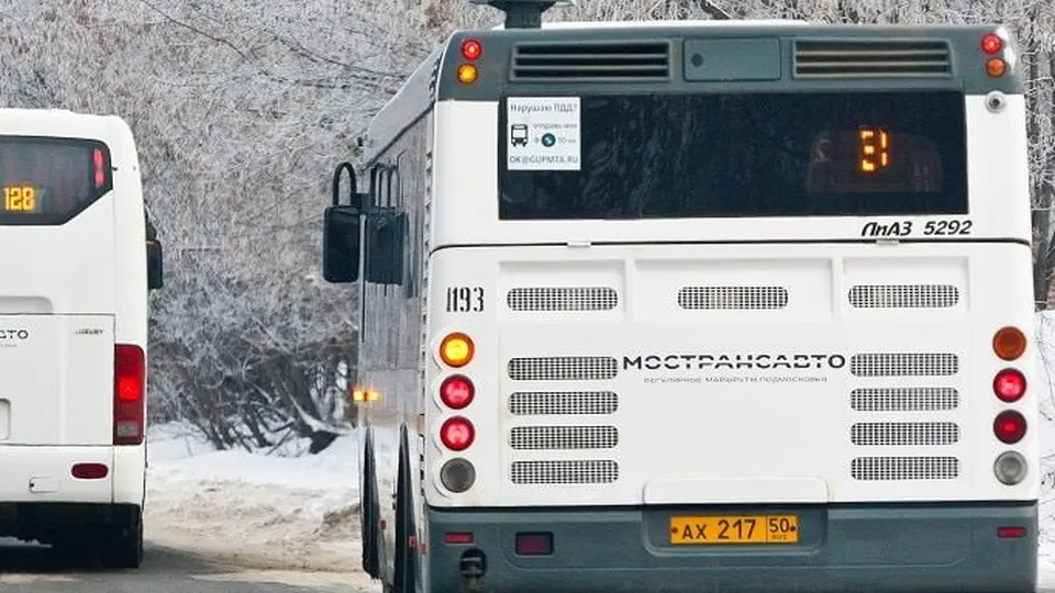 Фото: пресс-служба администрации г. о. Кашира