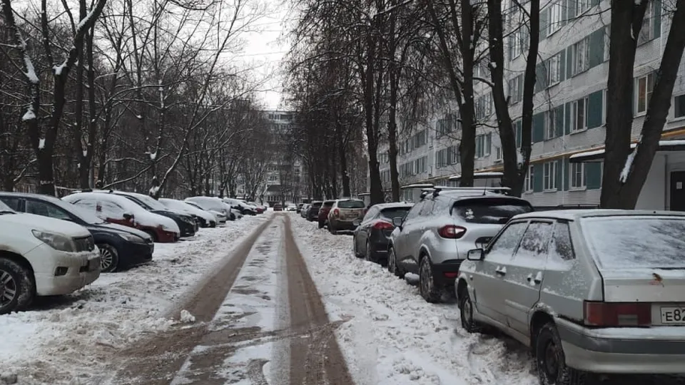 Фото: пресс-служба администрации г. о. Черноголовка