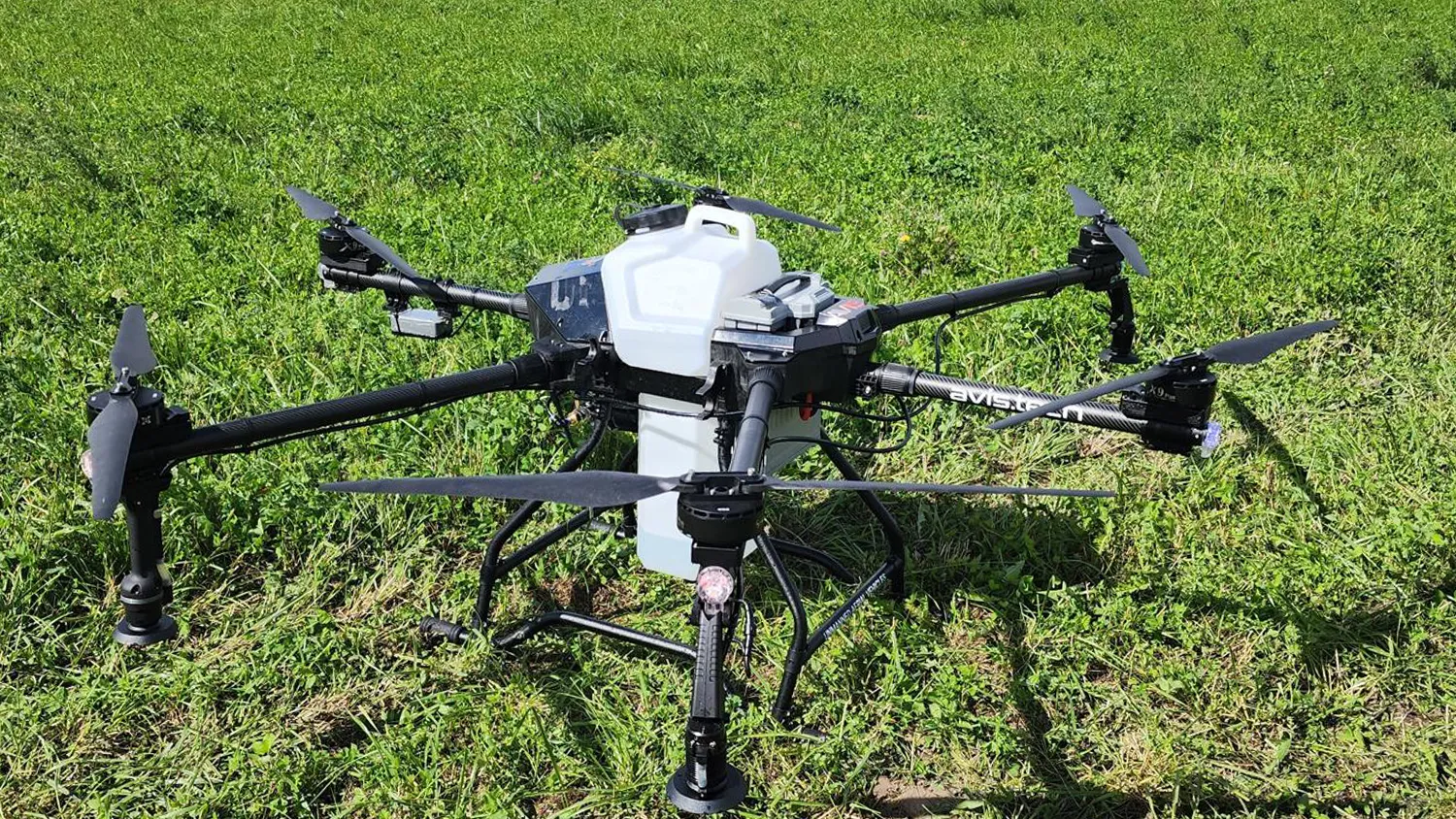 Фото: Станислав Орлов